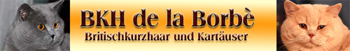 Banner- BKH de la Borbé02